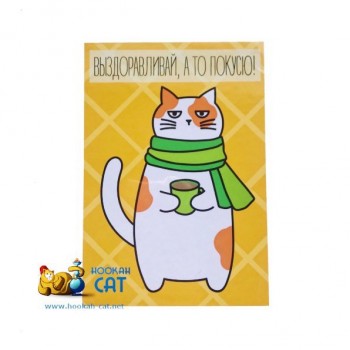 Открытка КОТКА - Выздоравливай, А То Покусю - купить в Москве с доставкой по России - фото 1 Открытка КОТКА - Выздоравливай, А То Покусю - купить в Москве с доставкой по России - фото 1